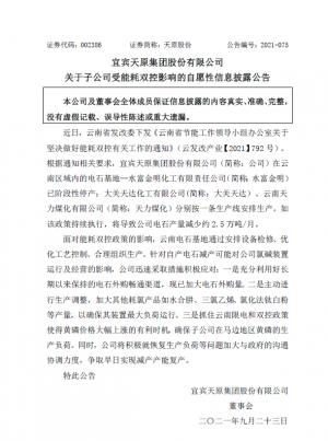 关于宜宾天元集团有限公司受能耗双控影响子公司自愿信息披露的公告